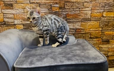3ee84a84-1509-4a84-88ff-86861a42b037.jpeg